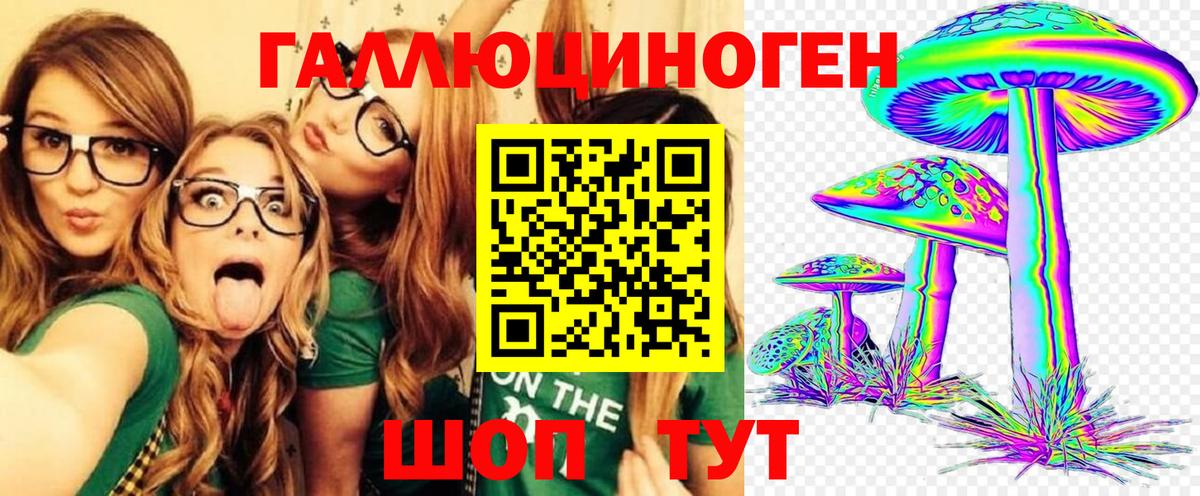 Псилоцибиновые грибы GOLDEN TEACHER Мончегорск