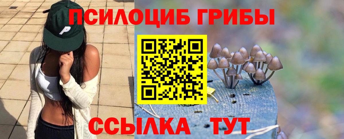 Мончегорск  Галлюциногенные грибы Psilocybe  Вход с VPN  Галлюциногенные грибы ЛСД 
